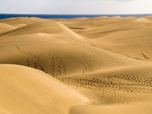 Gran Canaria