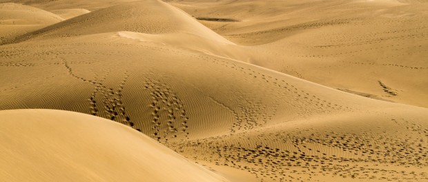 Gran Canaria