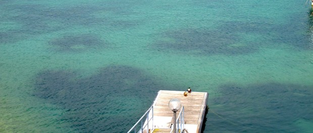 Gardasee Gardasee